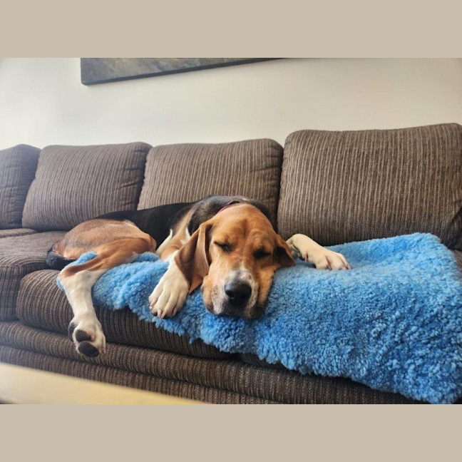 Photo of Lola Wilberforce