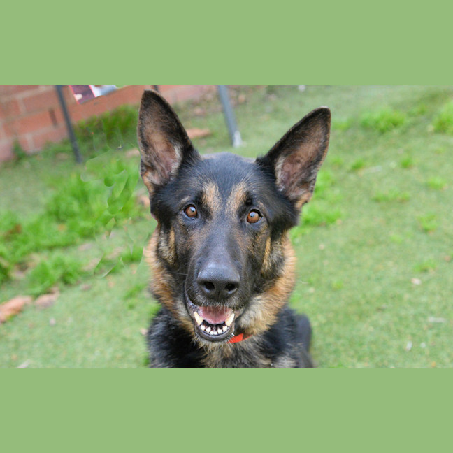 Photo of Goofy Gary