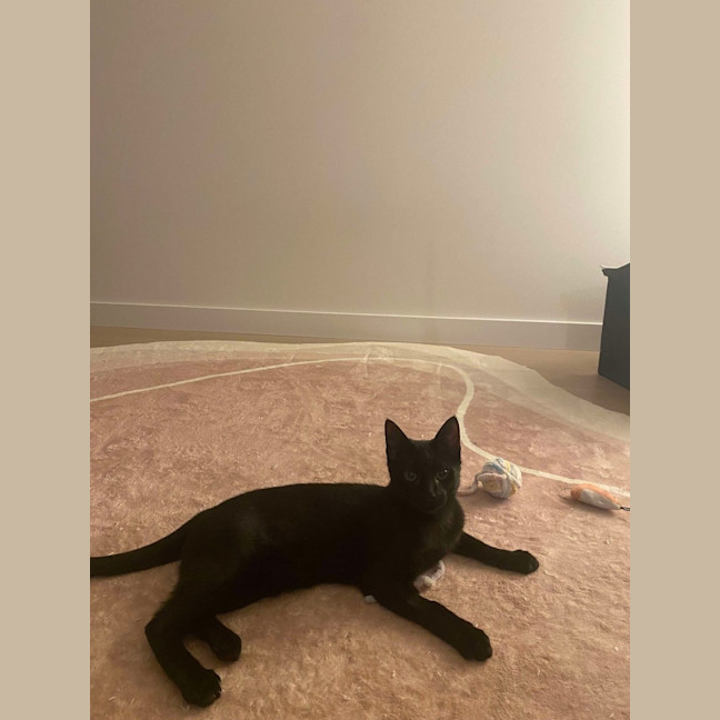 Photo of Andy