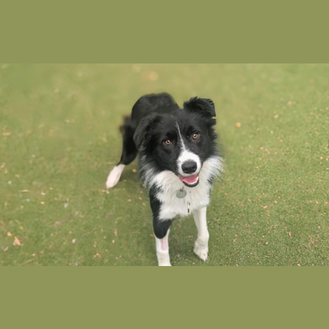 Photo of Murphy