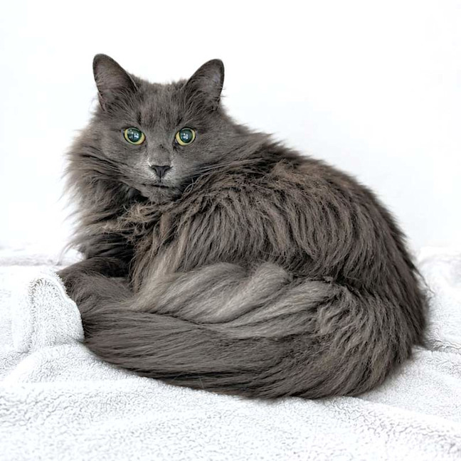 Photo of Kiki
