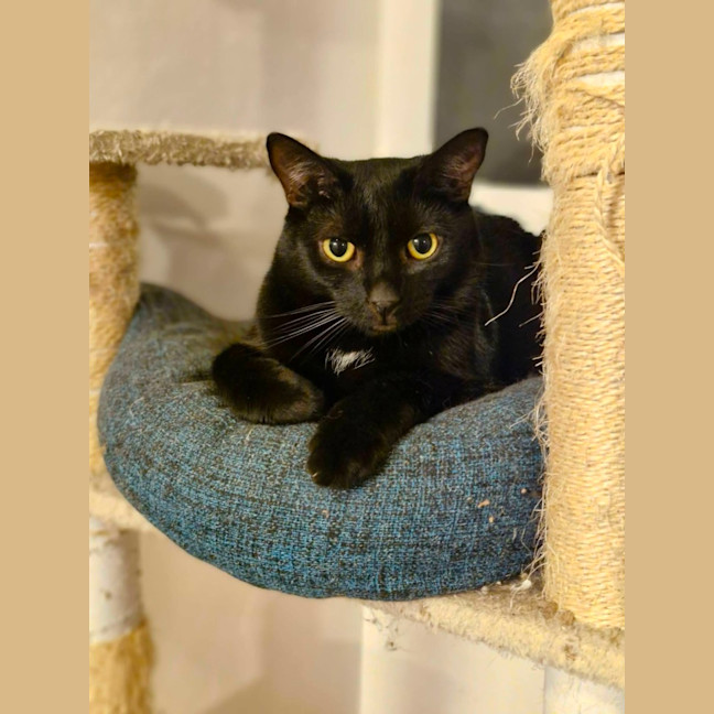 Photo of Finnigan