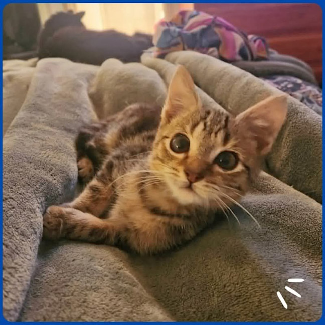 Photo of Bug