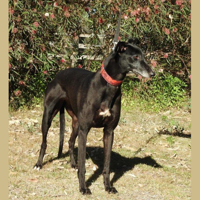 Photo of Heidi