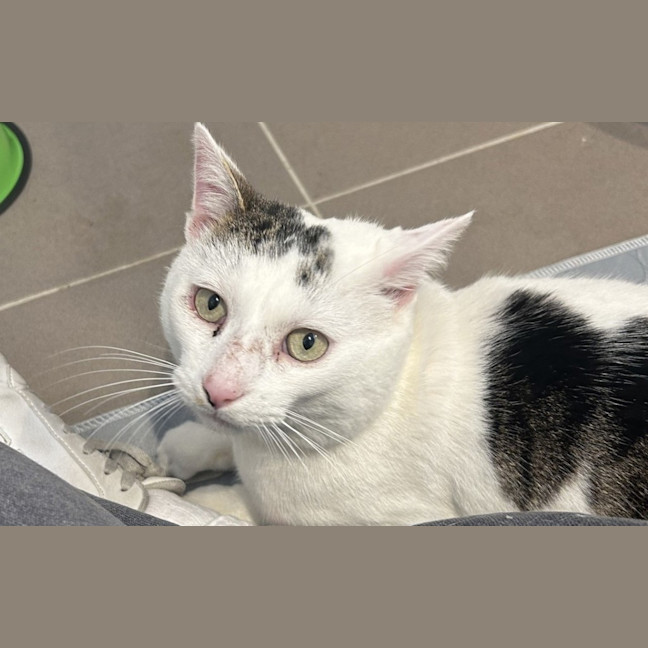 Photo of Squish