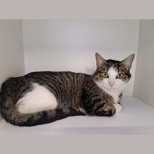 Photo of Wilma