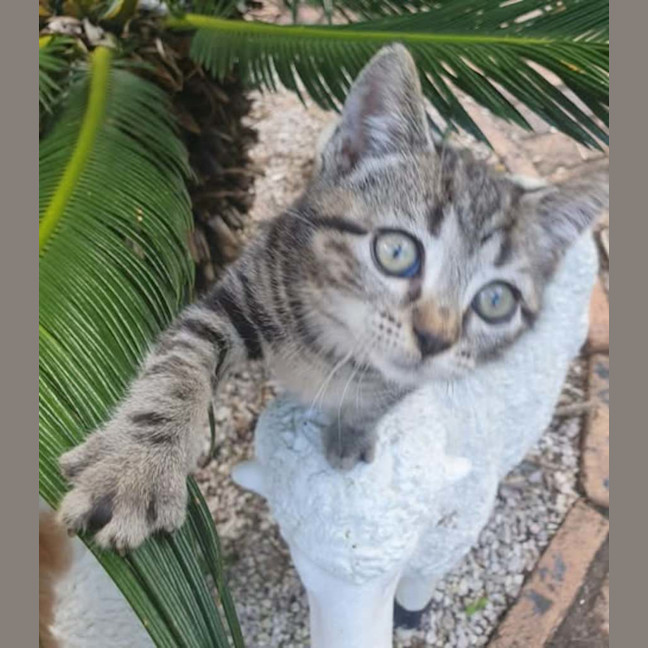Photo of Tabitha