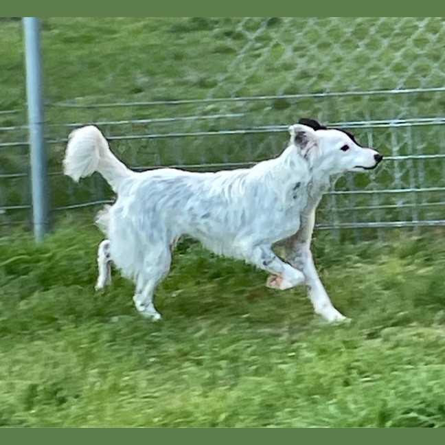 Photo of Jack