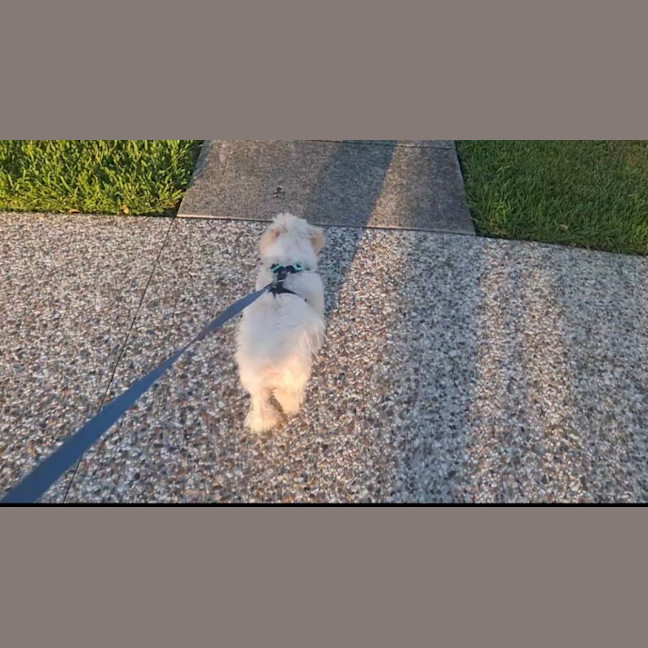 Photo of Connie Coconut 