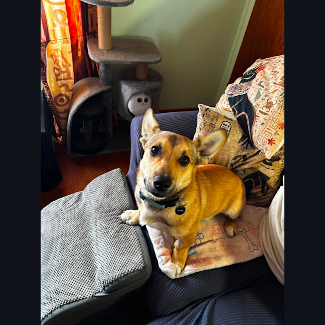 Photo of Teka
