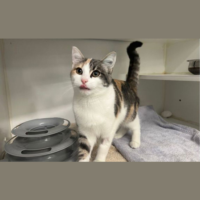 Photo of Marcie