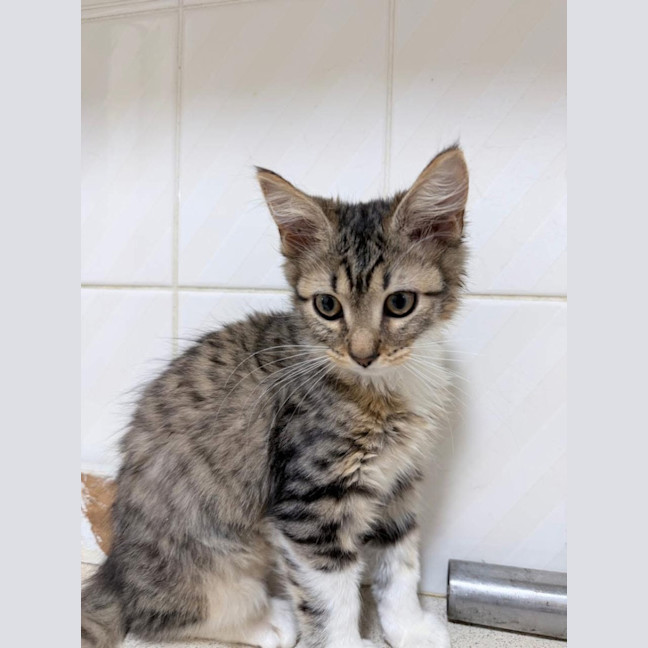 Photo of Evie