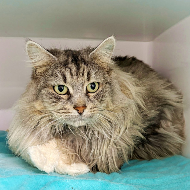 Photo of Elsa Sua012849