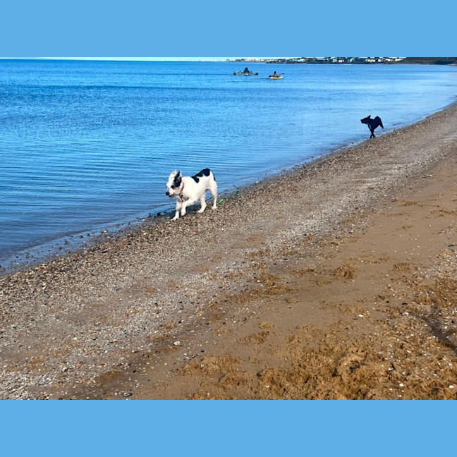 Photo of River
