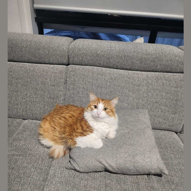 Photo of Jasper