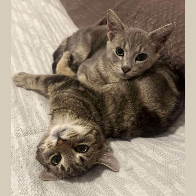 Photo of Cosmo & Teddy!