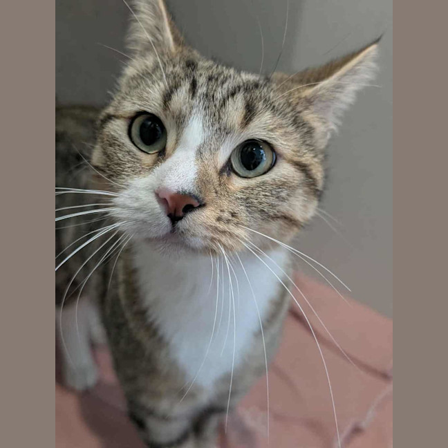 Photo of Gregina