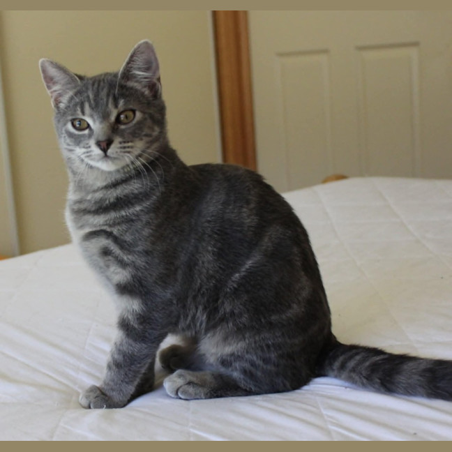 Photo of Astrid