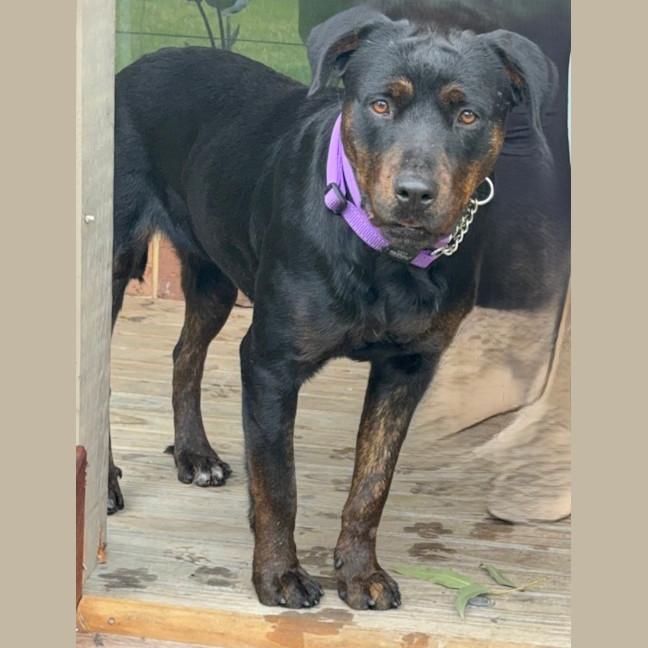 Photo of Lucy