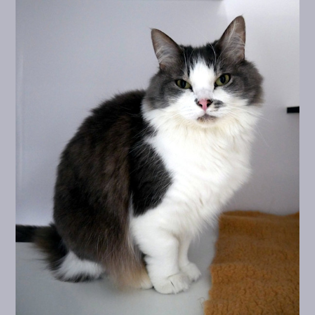 Photo of Jemma Sua014037