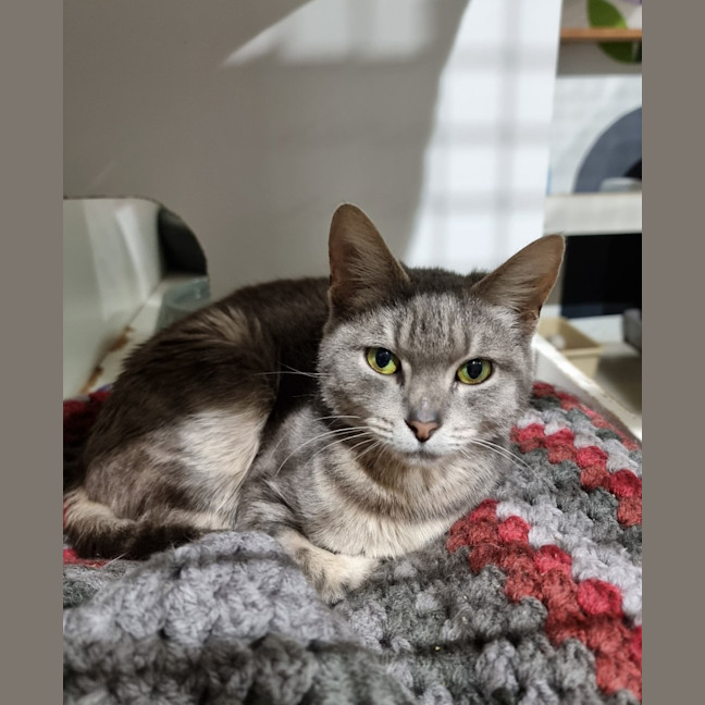 Photo of Delilah