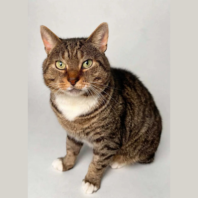 Photo of Tom