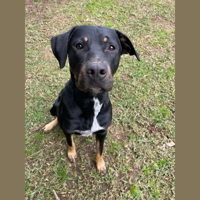 Photo of Maverick