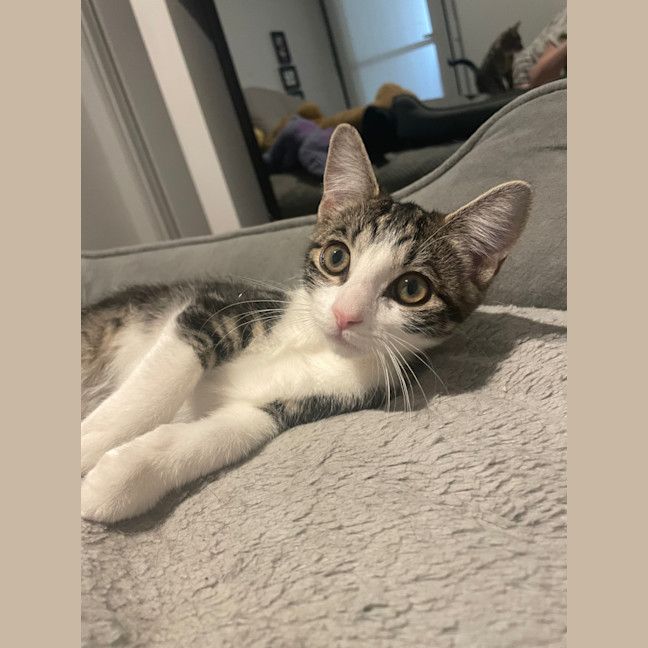 Photo of Penne 🍝