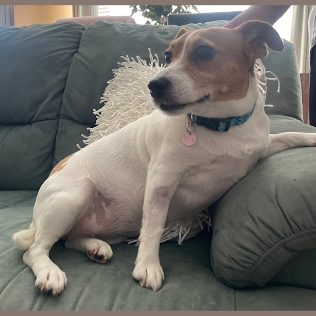 Photo of Maisie