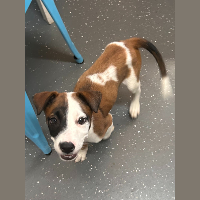 Photo of Kiah (Ex Ash)