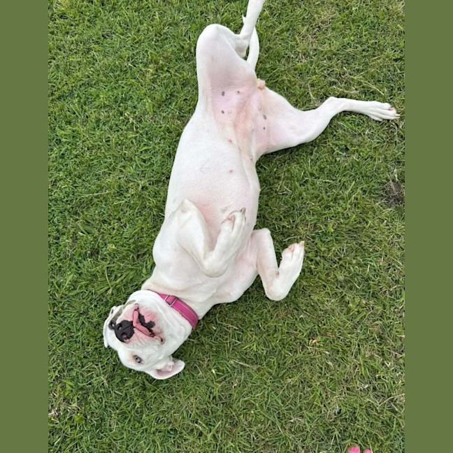 Photo of Jazz