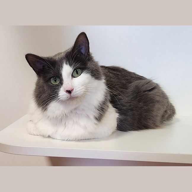 Photo of Princess Elsing