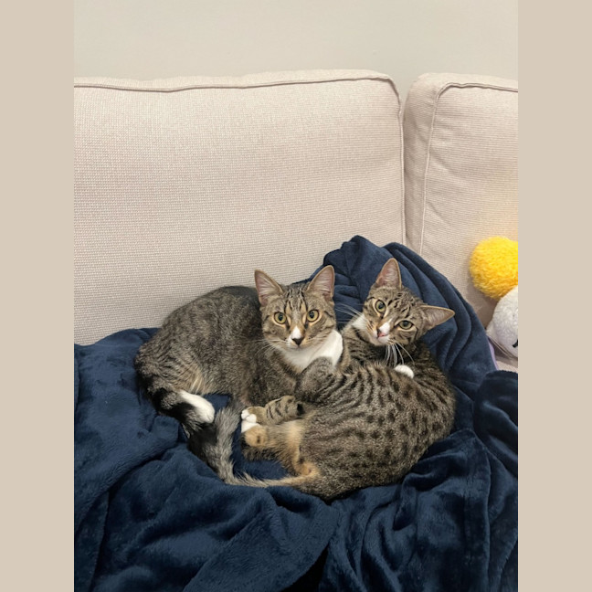 Photo of Leo And Theo