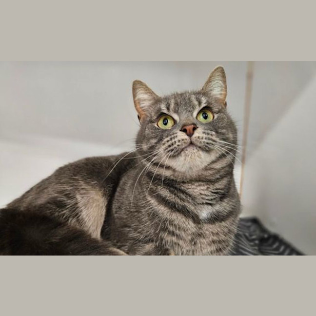 Photo of Ursula 