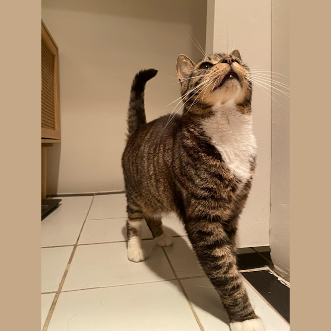 Photo of Chester   Located In Richmond