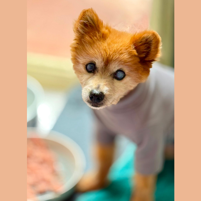 Photo of Ju Ju