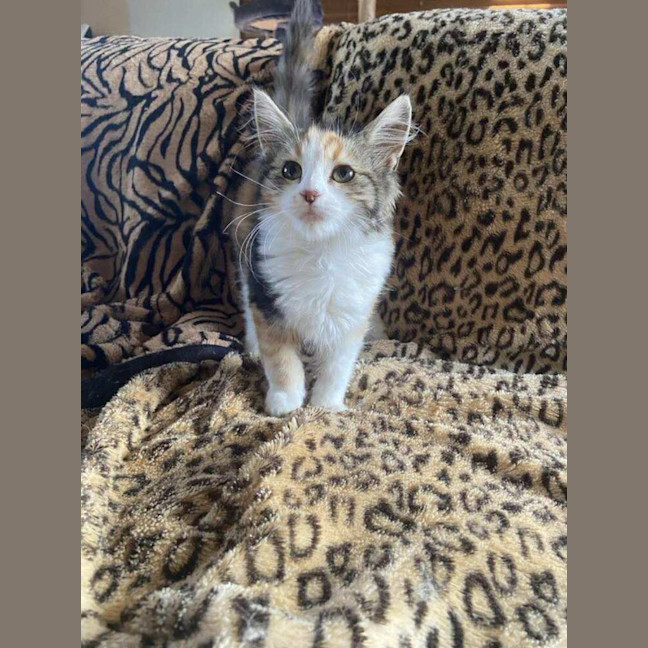 Photo of Elli 