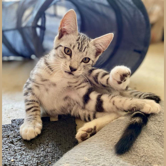 Photo of Theo
