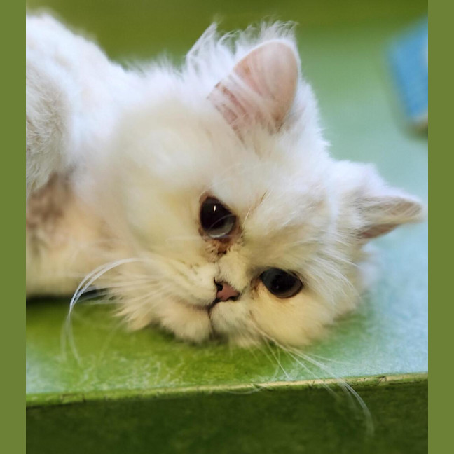 Photo of Doris