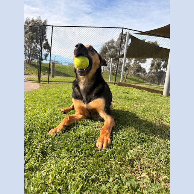 Photo of Angel
