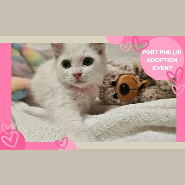Photo of Princess
