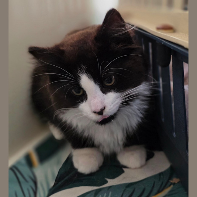 Photo of Harriet