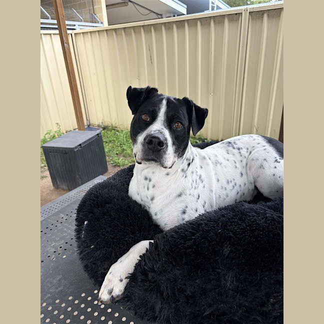 Photo of Penelope