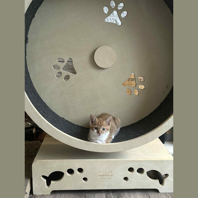 Photo of Elodie & Etienne