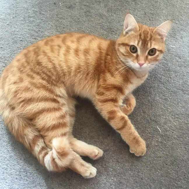 Photo of Kanga Suk012778