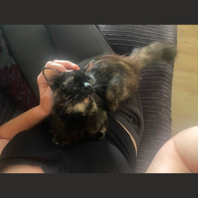 Photo of Heidi  🥰