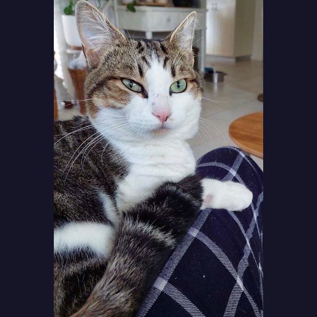 Photo of Bub