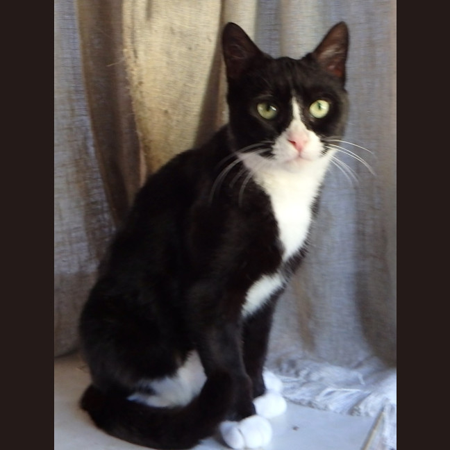 Photo of Jean