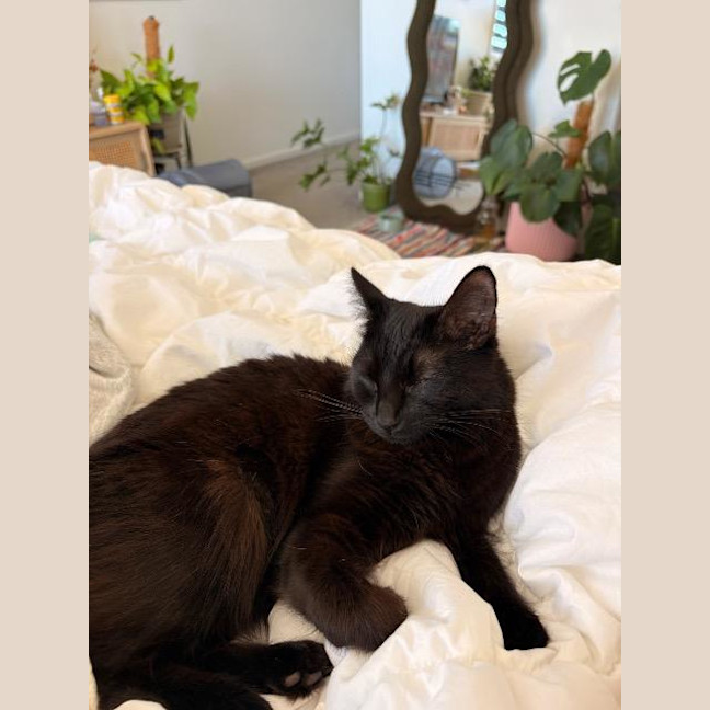 Photo of Maya