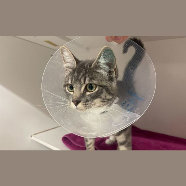 Photo of Penelope 